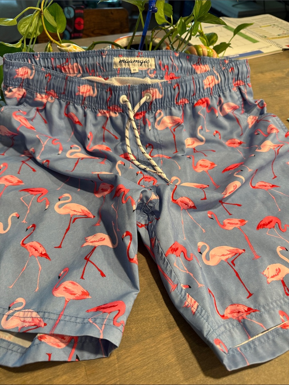Men's Light Blue Flamingo Swim Trunks by Maamgiu
